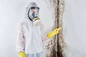 Best Asbestos and Lead Testing During Mold Inspection  in West Milton, OH